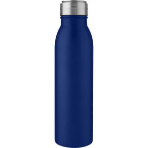 Harper 700 ml stainless steel water bottle with metal loop