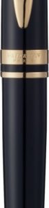 Waterman Expert ballpoint pen (blue ink)