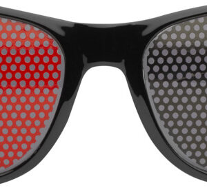 Vision sunglasses