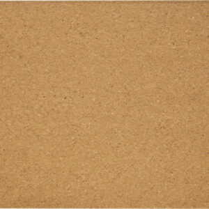 Trikona cork yoga brick